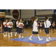 Fiesta de Educación Física